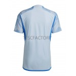 Maillot/Tenue Espagne Exterieur Coupe du monde 2022